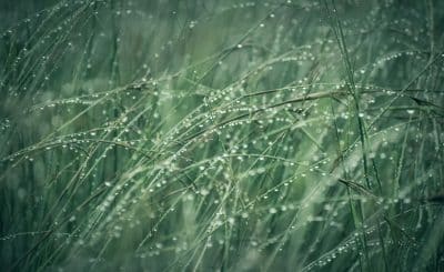 Comment récupérer de l'eau de pluie ?